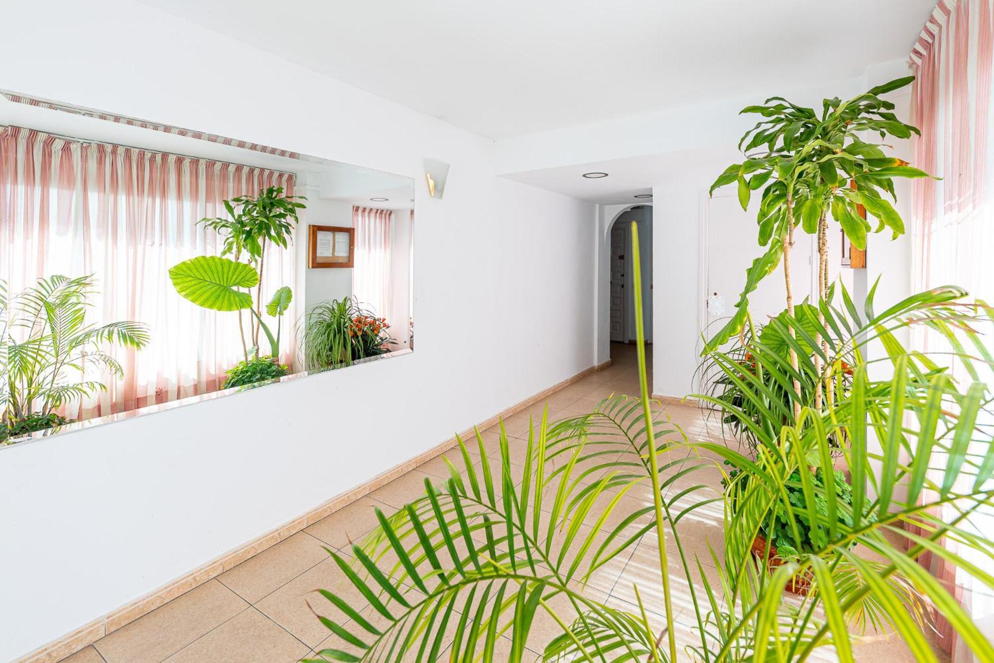 Apartment 797 - In Close To